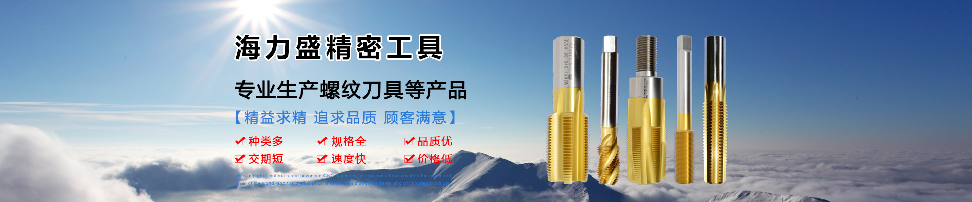 東莞市海力盛精密工具有限公司（sī）
